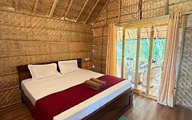 Monkey Paradise Hampi